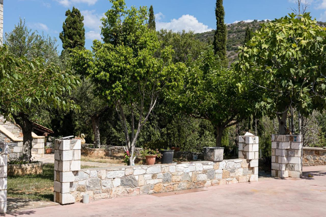 Lévktron Chioureas Apartments מראה חיצוני תמונה